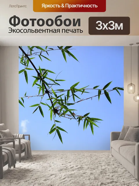 Фотообои Бамбук