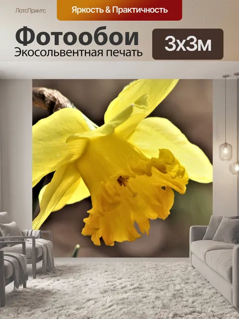 Фотообои Нарцисс крупным планом