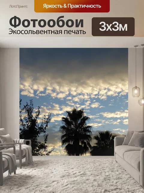 Фотообои Пальмы
