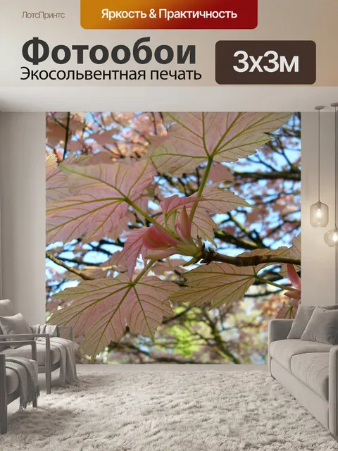 Фотообои Розовый Maple № 1