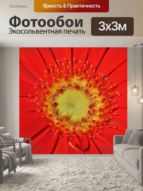 Фотообои Красная гербера с ромашками