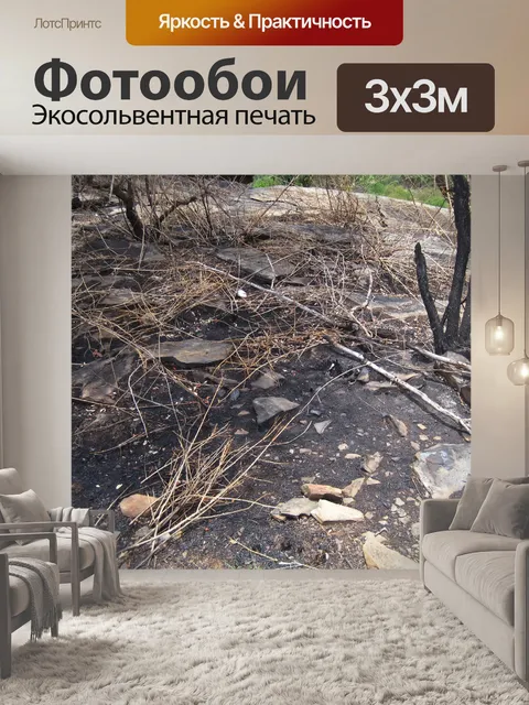 Фотообои почерневшая земля и камни после пожара