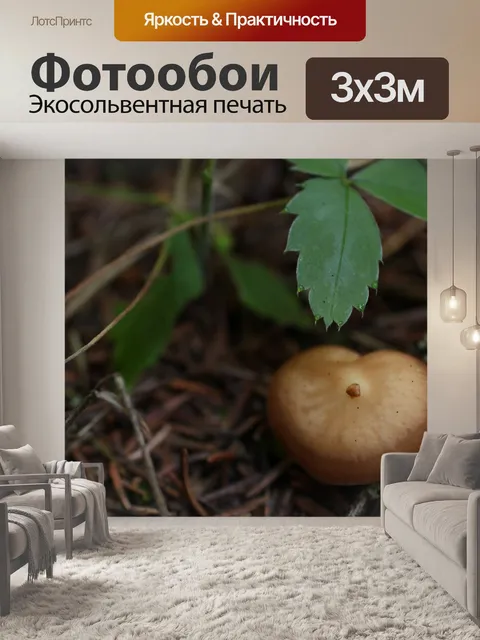 Фотообои Маленький коричневый лесных грибов