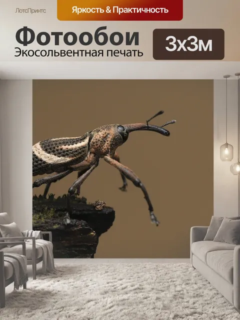 Фотообои Жук