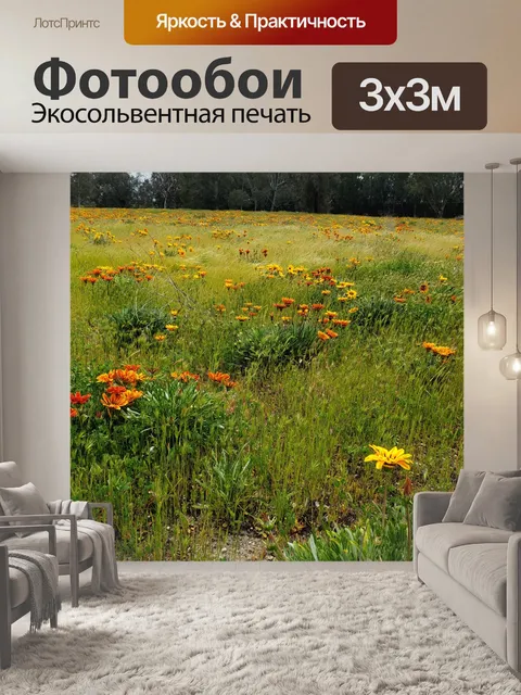 Фотообои Африканские тигрицы