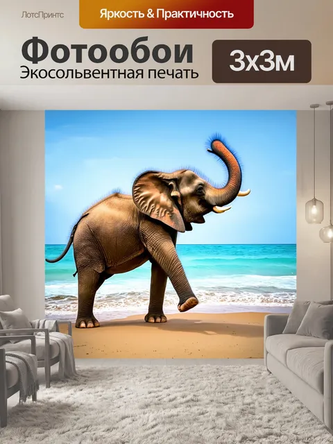 Фотообои слон, занимающийся гимнастикой на пляже, с великими подъемами и прыжками