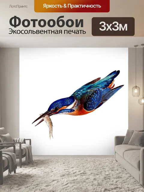 Фотообои Зимородок в полете