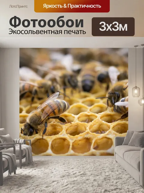 Фотообои Внутри улья пчелы