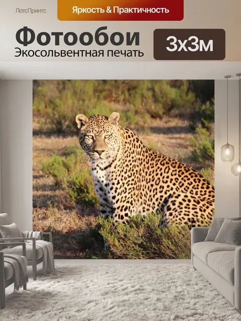 Фотообои Леопард