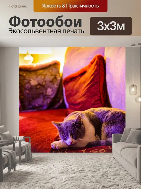 Фотообои Кошка