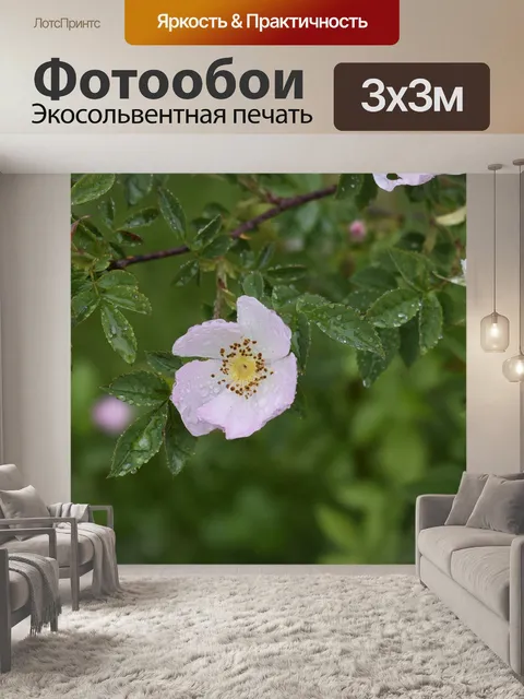 Фотообои Полевые цветы