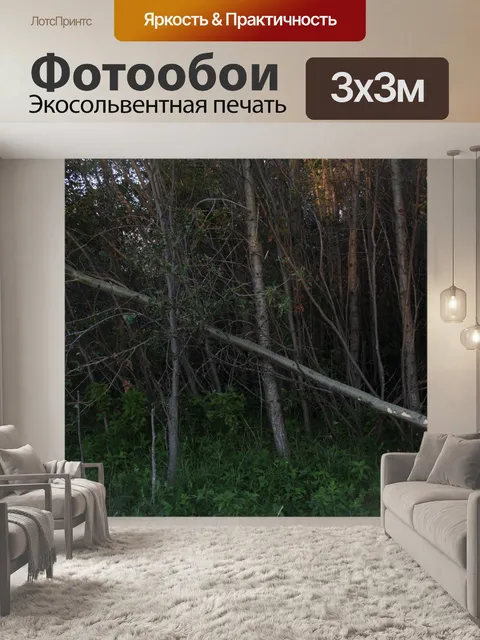 Фотообои Дерево, вырубленное бобром