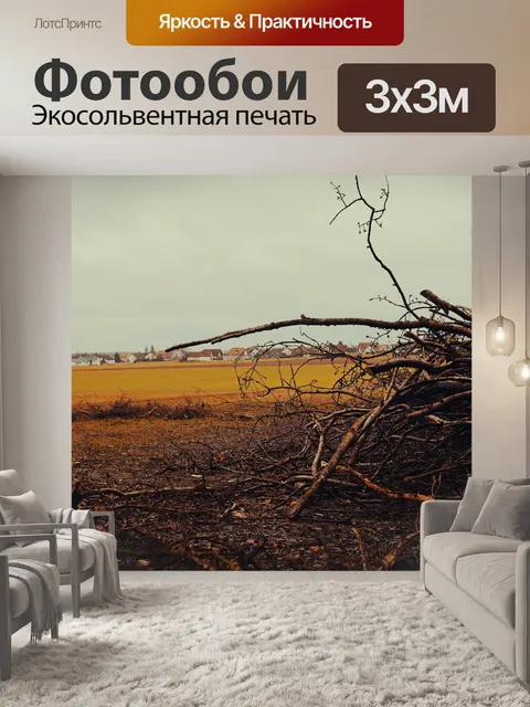 Фотообои Лес