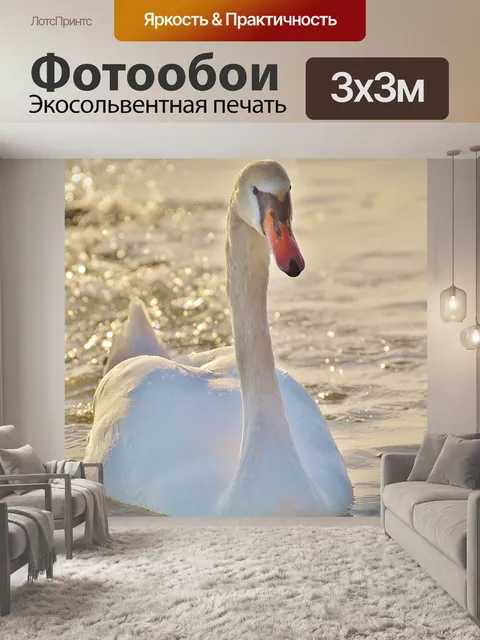 Фотообои Лебедь