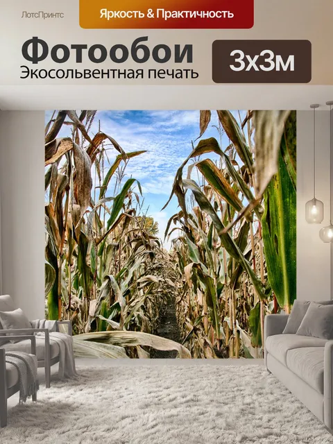 Фотообои Овощи