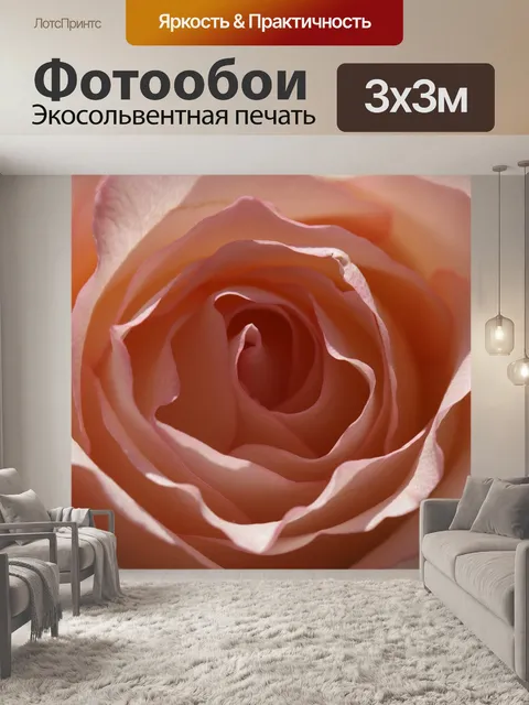 Фотообои Роза