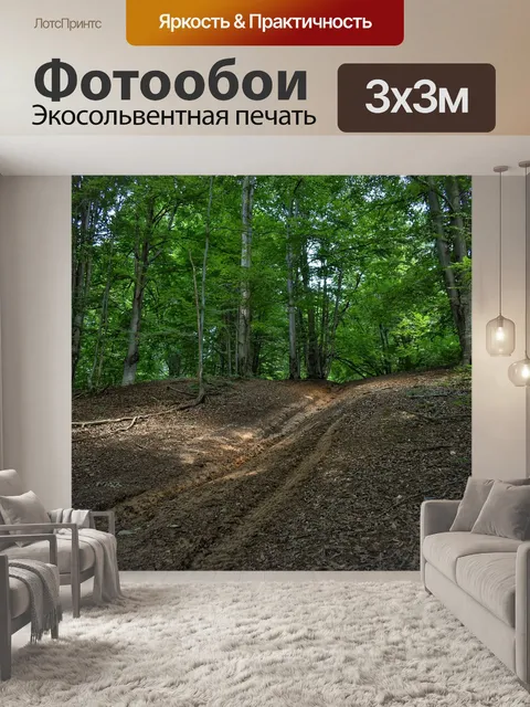 Фотообои Лес