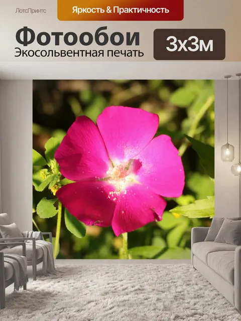 Фотообои Фиолетовый мак Мэллов