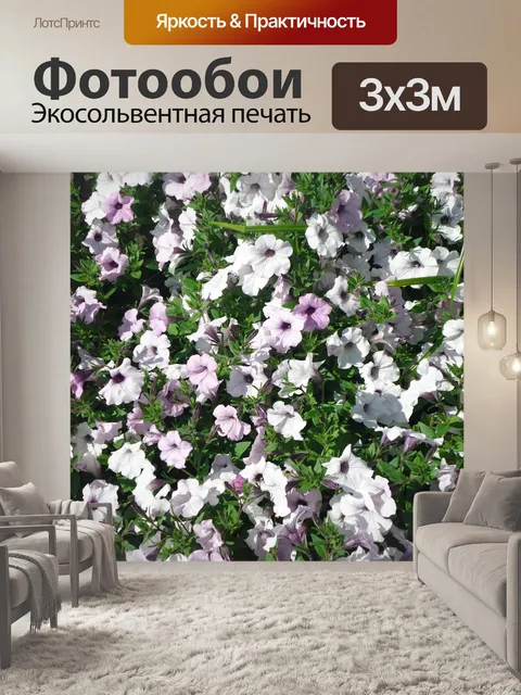Фотообои Фиолетовые цветы