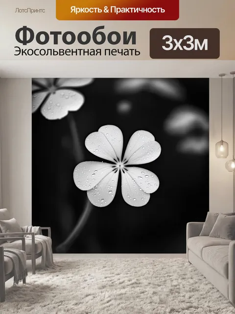 Фотообои промт: "чёрно-белая фотография белого клевера, осыпанного каплями дождя, с акцентом на текстурные детали