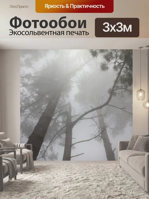 Фотообои Лес