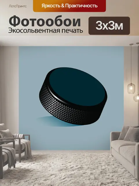 Фотообои Хоккейная шайба