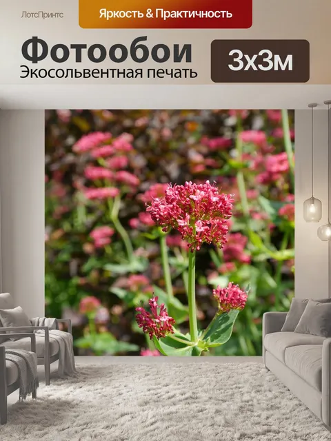 Фотообои Красный цветок