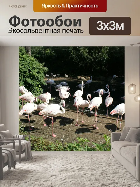 Фотообои Фламинго