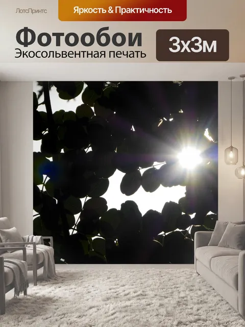 Фотообои Восход солнца сквозь деревья