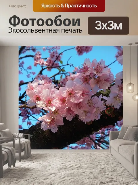 Фотообои Цветы