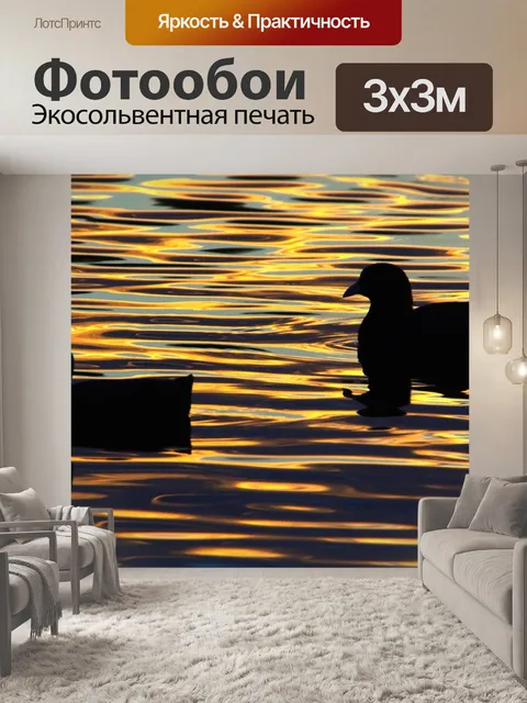 Фотообои Птицы силуэт закат