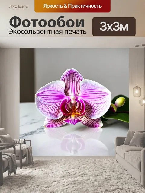 Фотообои орхидея в нежных пастельных тонах на белом мраморном столе