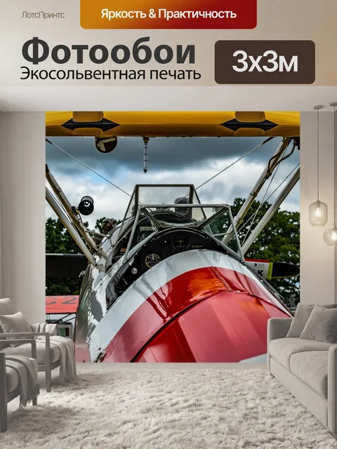 Фотообои Биплан