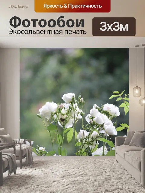 Фотообои Дикий Сад Белой розы