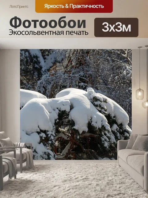 Фотообои Зима
