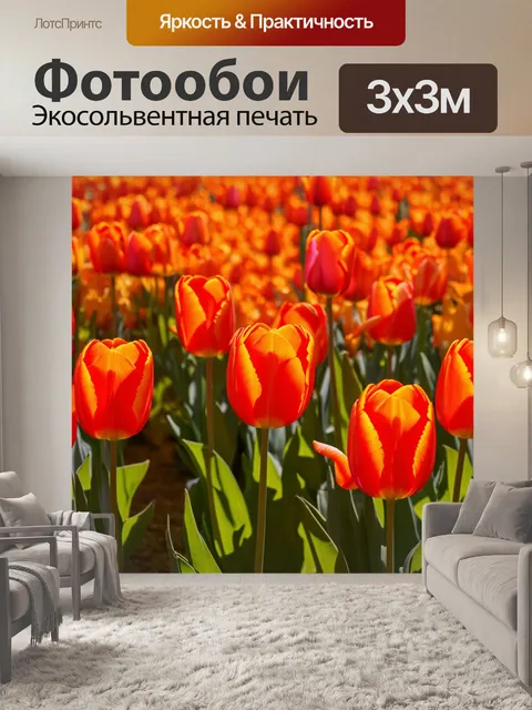 Фотообои оранжевый цвет: оранжевые тюльпаны в полном цвету