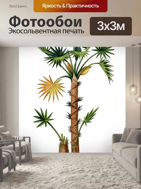 Фотообои Пальма Винтаж клипарт