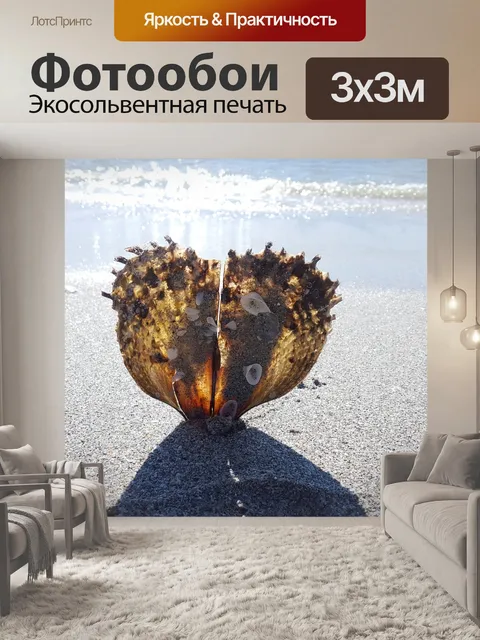 Фотообои Оболочка