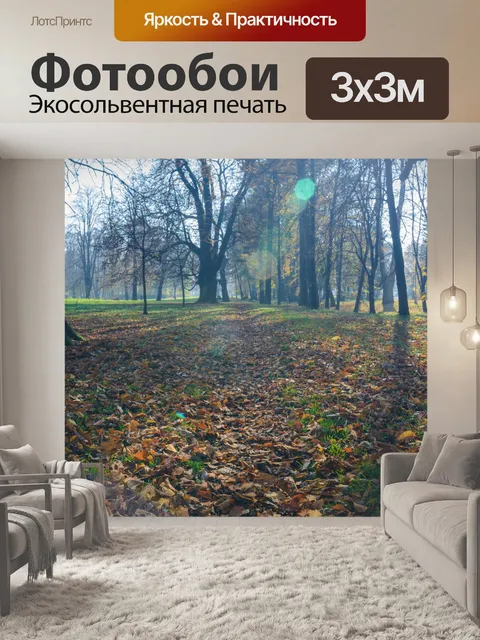 Фотообои Путь