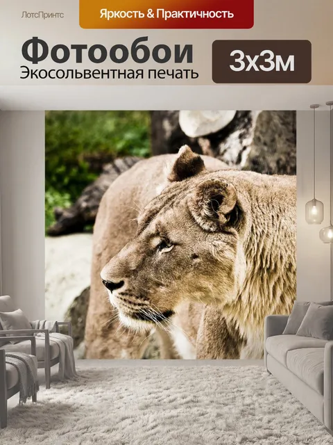 Фотообои Львица