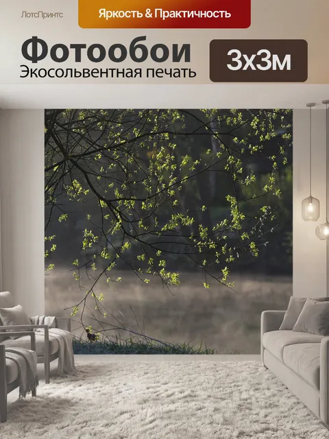 Фотообои Поймы реки