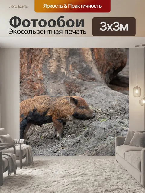 Фотообои Поросенок