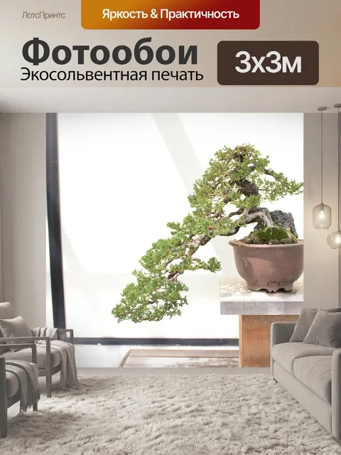 Фотообои Бонсай