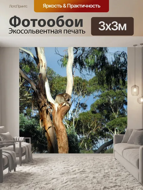 Фотообои Коала в дереве