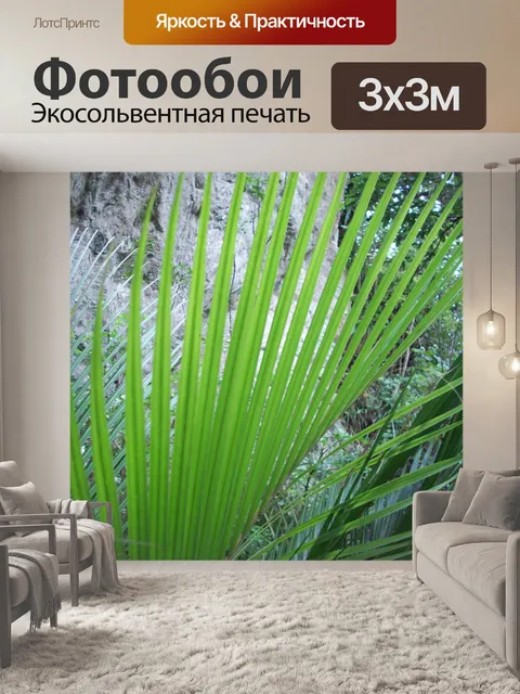 Фотообои Пальмовых листьев