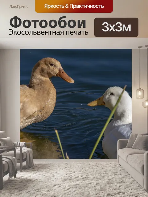Фотообои Домашние утки