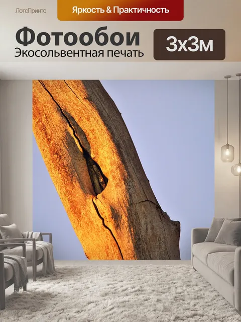Фотообои гладкий ствол с ямочкой
