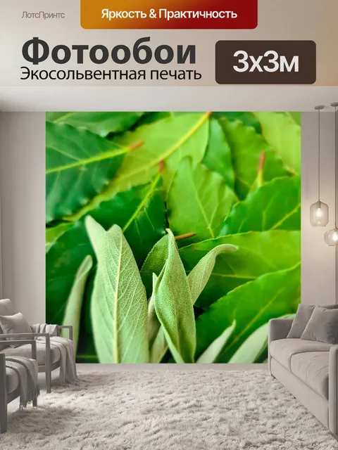 Фотообои Зеленый шалфей и лавровый лист