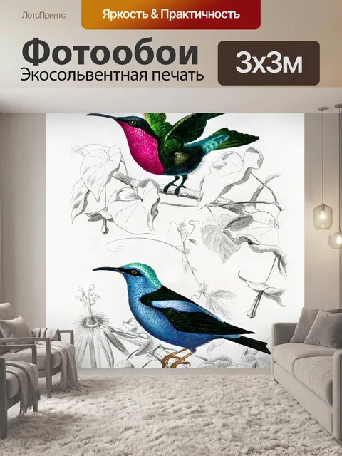 Фотообои Колибри птица винтаж старый