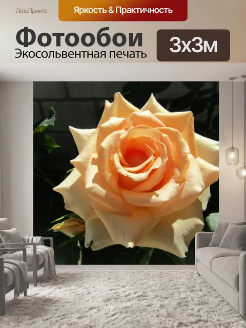 Фотообои Цветок